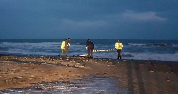 Cadavru în putrefacție, găsit pe plaja Neversea din Constanța
