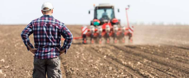 S-au modificat reglementările pentru subvenţiile agricole şi cererile unice de plată