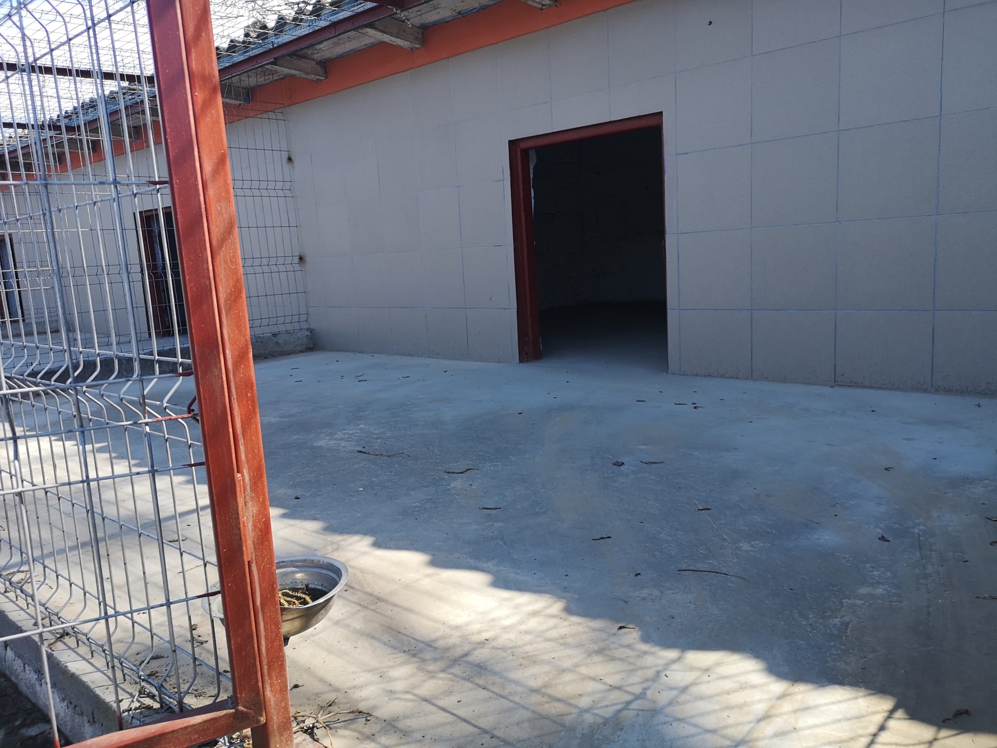 Adăpostul pentru câinii fără stăpân din Constanța, în curând operațional