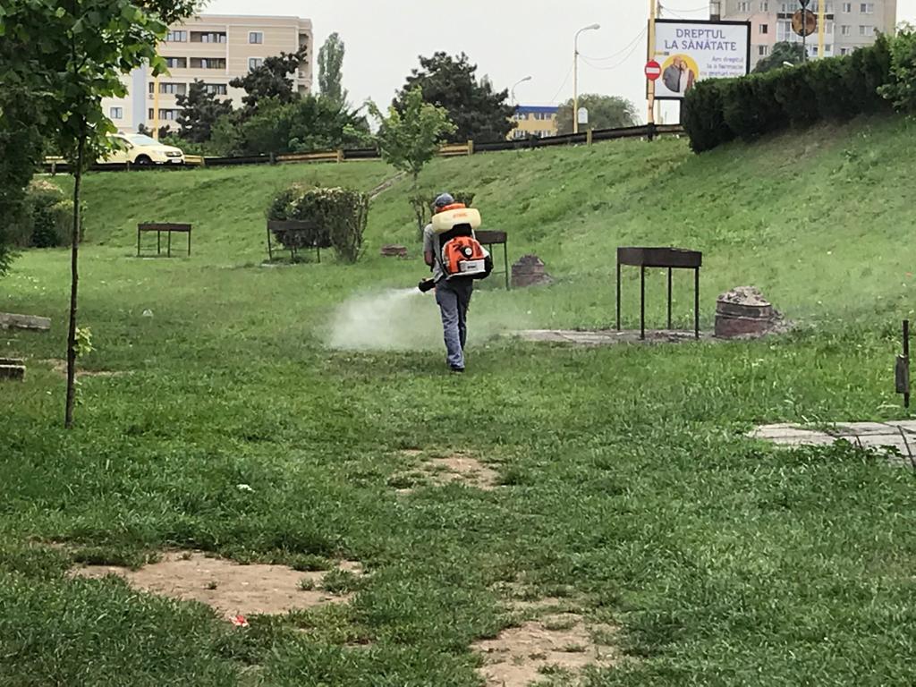 Primăria Municipiului Constanța a început acțiunile de dezinsecție