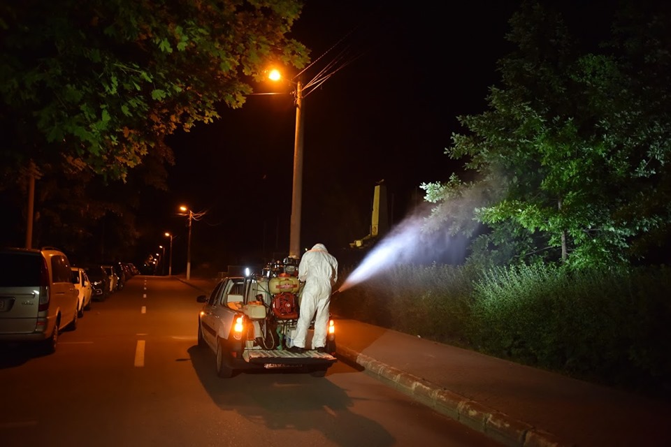 Primăria Medgidia demarează cea de-a doua etapă de deratizare și dezinsecție