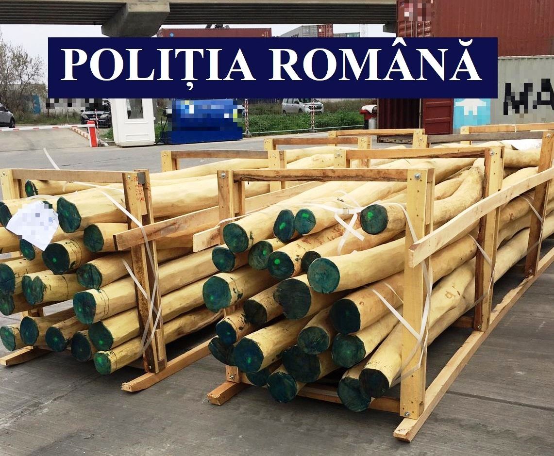Verificări în Porturile Constanţa și Constanța Sud - Agigea la containerele cu material lemnos