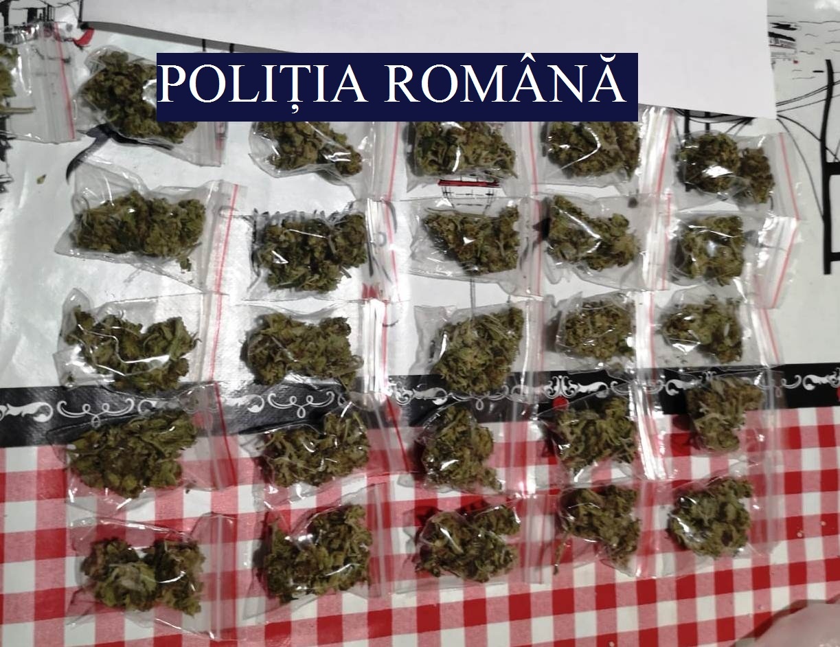 Percheziții la Constanța într-un dosar privind traficul de droguri de mare risc. Patru bărbați reținute și cannabis confiscat