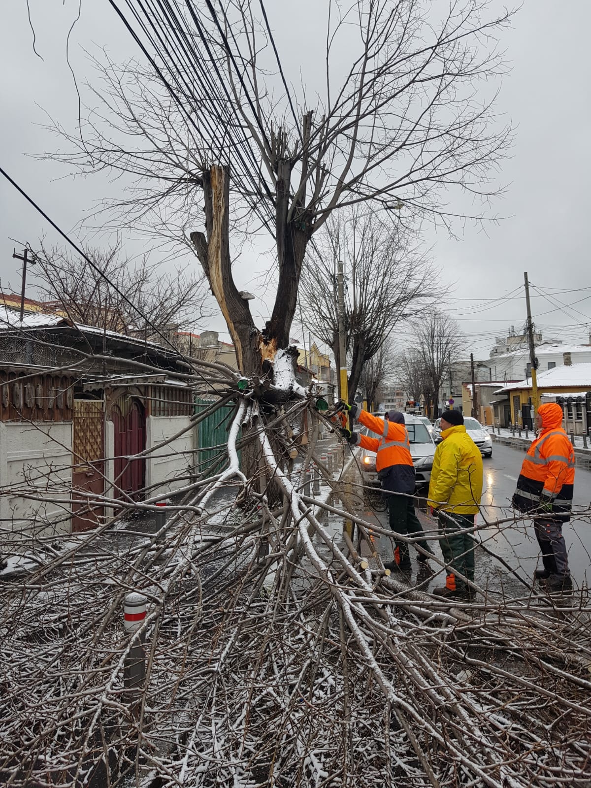 După o noapte de cod portocaliu în municipiul Constanța: Copaci căzuți, schele desprinse, semafoare smulse și panouri publicitare doborâte
