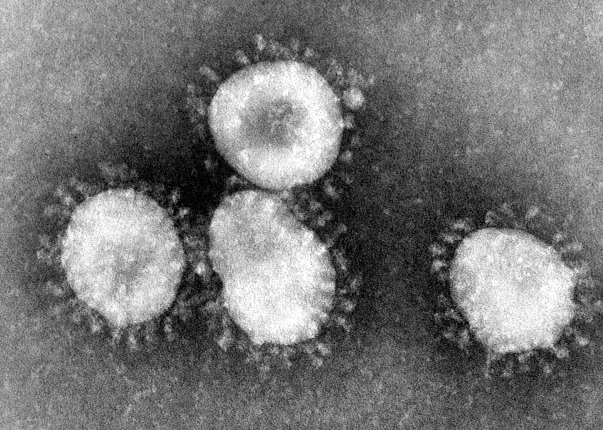 Noul coronavirus se răspândește rapid în mediile umede