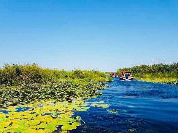 Care sunt problemele stringente ale Deltei: Asociația de Management al Destinației Turistice Delta Dunării propune ARBDD o întâlnire de lucru
