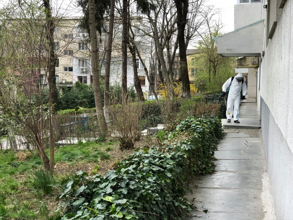 Amplă acțiune de dezinsecție și delarvizare la Medgidia
