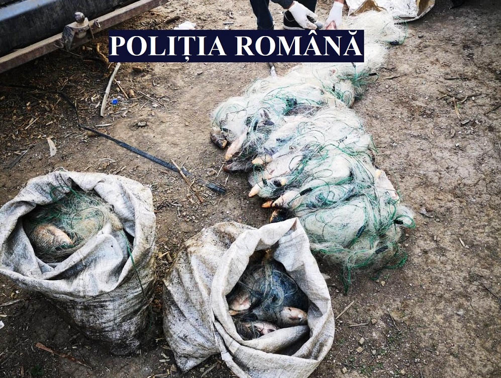 (Video) Descinderi pe raza a două județe într-un dosar de tăinuire și constituirea unui grup infracțional organizat
