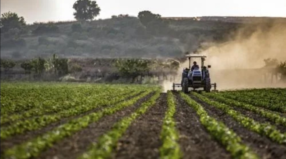 Ministrul Agriculturii le cere țăranilor să iasă la câmp: Fiecare palmă de pământ trebuie lucrată!