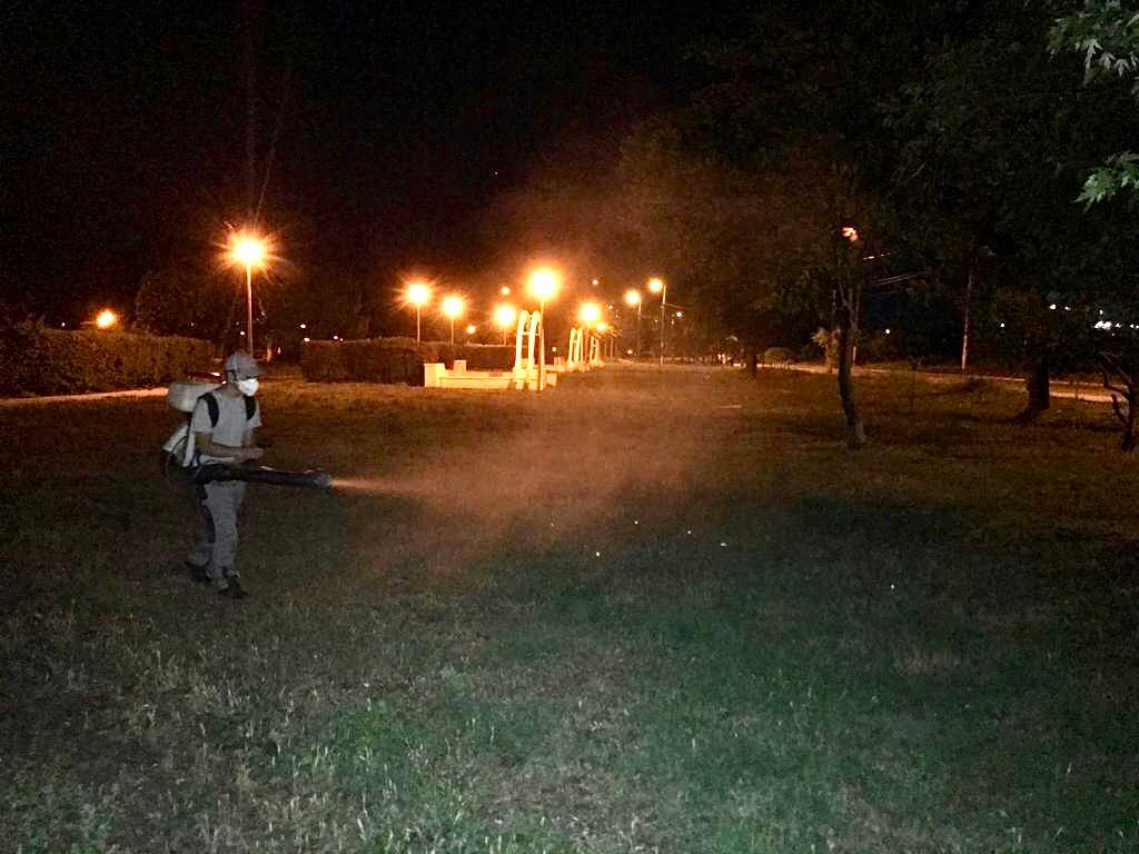 Se intensifică acțiunile de dezinsecție în Constanța