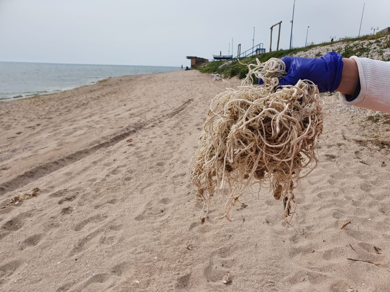 Cele mai curate plaje din ultimii trei ani, pe litoral. Care este explicația