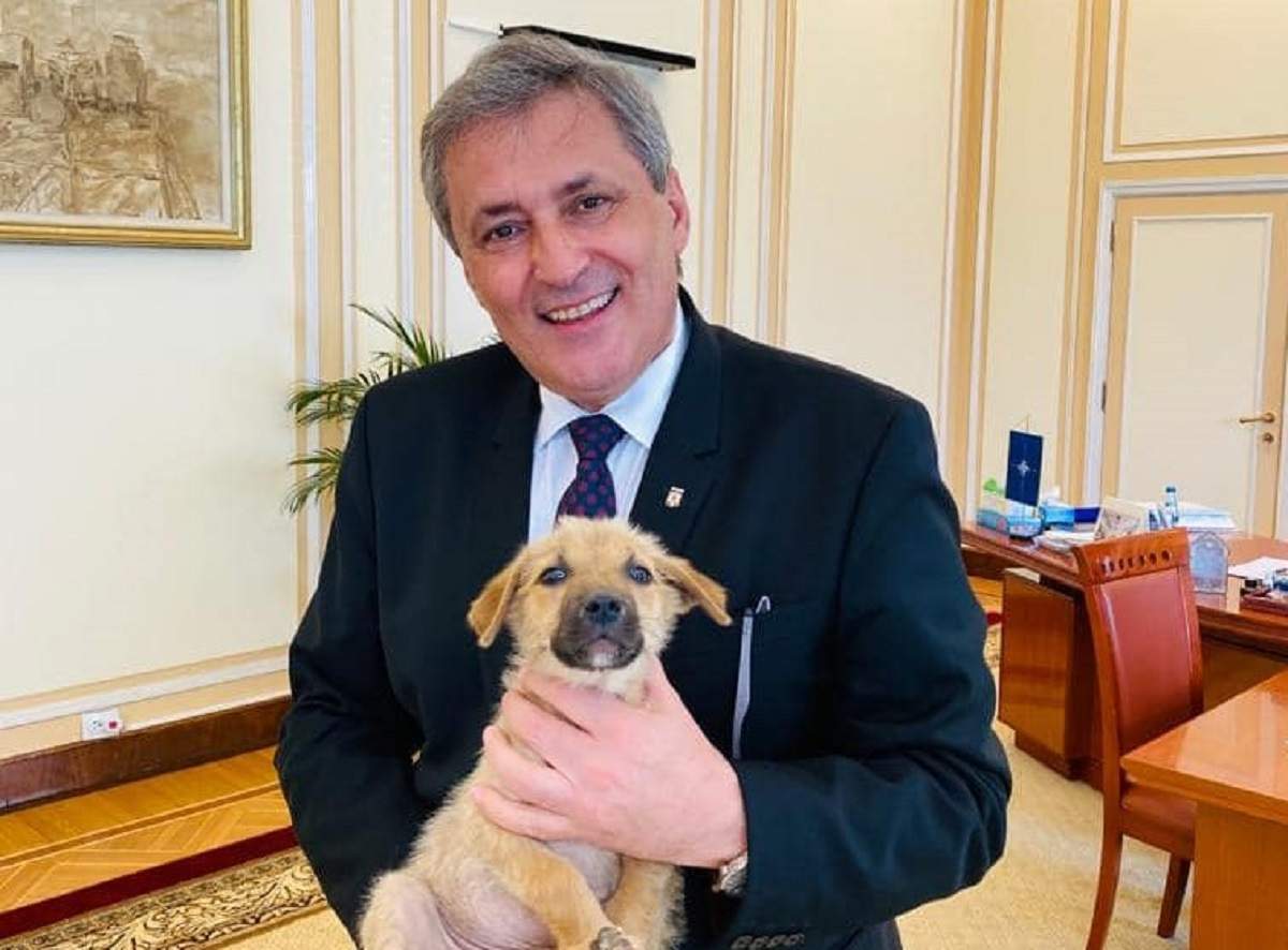 Ministrul MAI anunță primul demers pentru înființarea Poliției Animalelor
