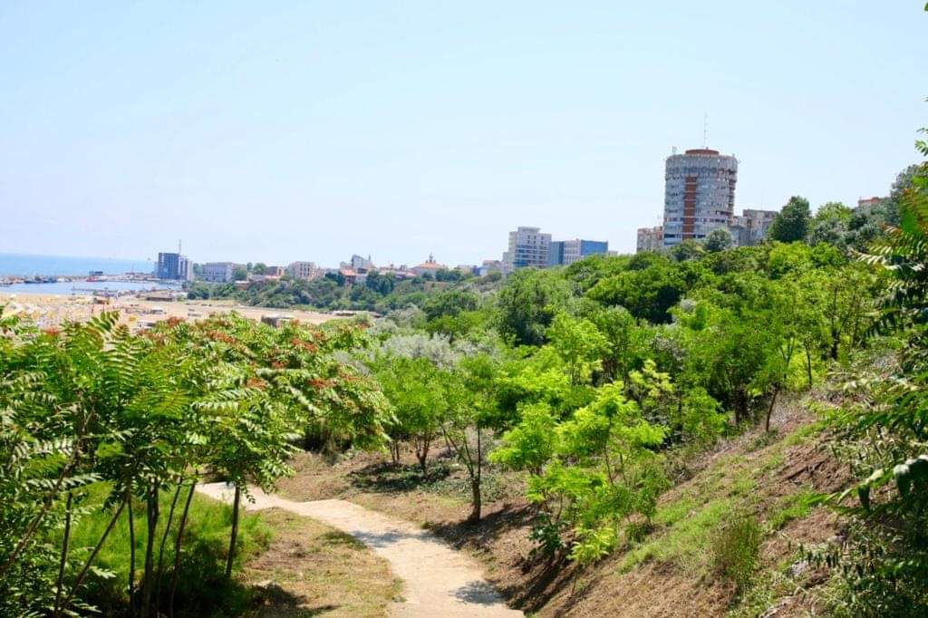 Primăria Constanța continuă igienizarea taluzului dinspre plajele din Constanța