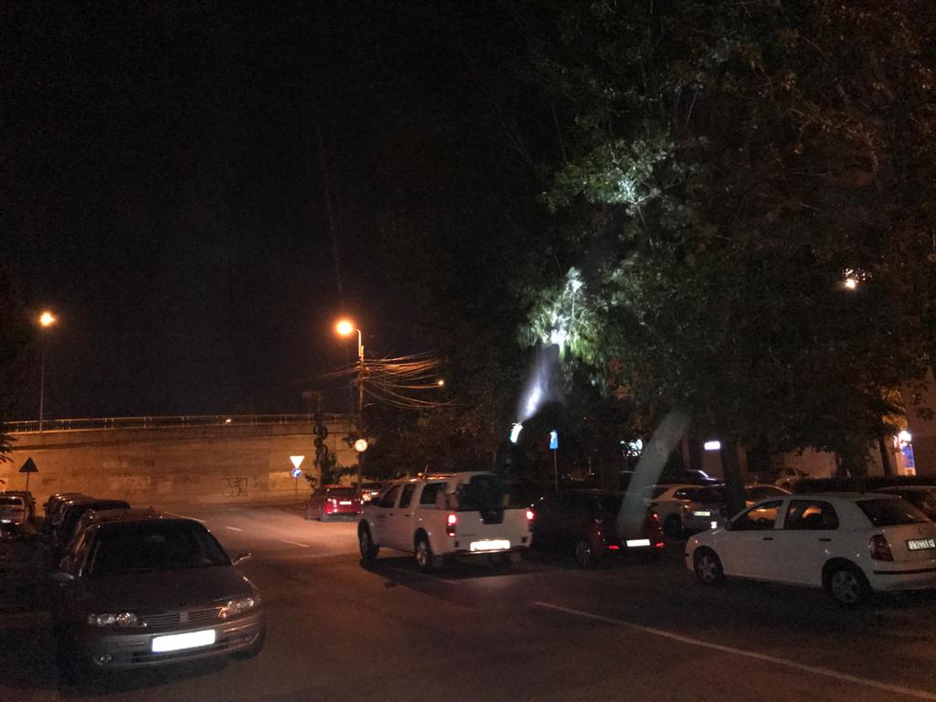 Se reia dezinsecția în municipiu. În ce cartiere intervin echipele de lucru