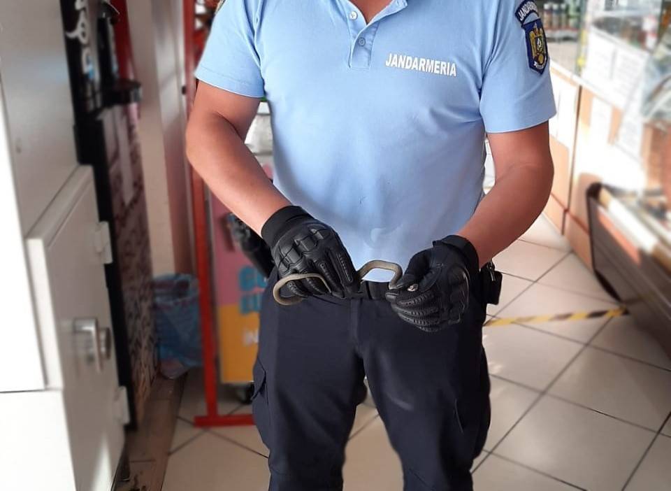 Un șarpe a fost găsit într-un magazin din Constanța