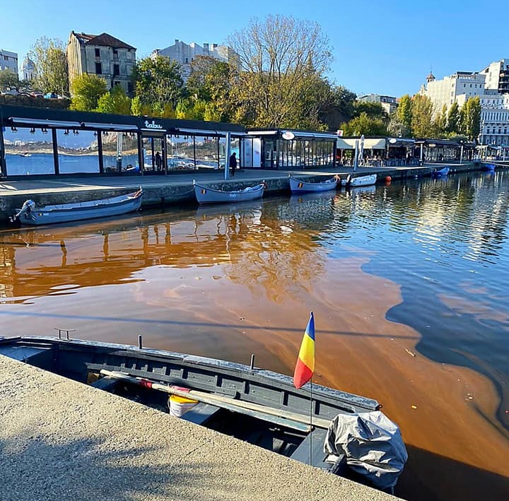 Microorganism care apare rar în Marea Neagră, observat în zona Portului Tomis din Constanța și în Mangalia