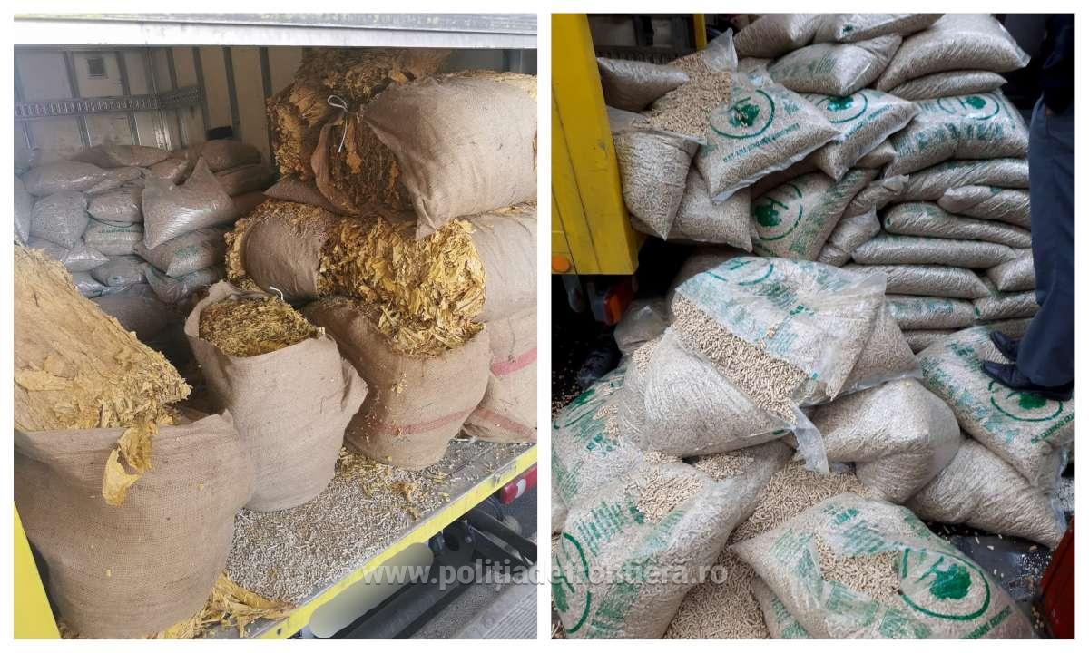 Sute de kilograme de tutun vrac, ascunși printre saci cu peleţi la P.T.F. Ostrov