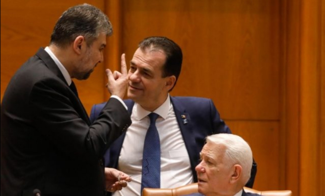 Exit-poll fără diaspora: PSD - 30,5%, PNL cu 29%, USR pe locul trei cu 16%