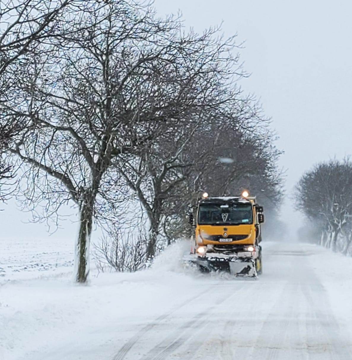 (Foto/Video) Ninge viscolit în tot județul. Se circulă în condiții de iarnă