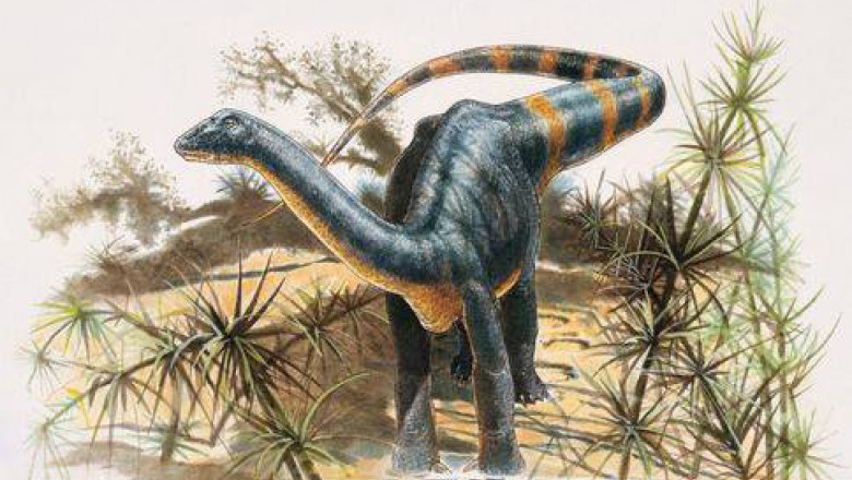 Un sit al dinozaurilor din Transilvania, regăsit după 100 de ani