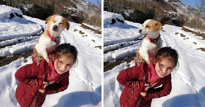 O fetiță de 9 ani și-a cărat câinele doi kilometri, prin zăpadă, pentru a ajunge la veterinar