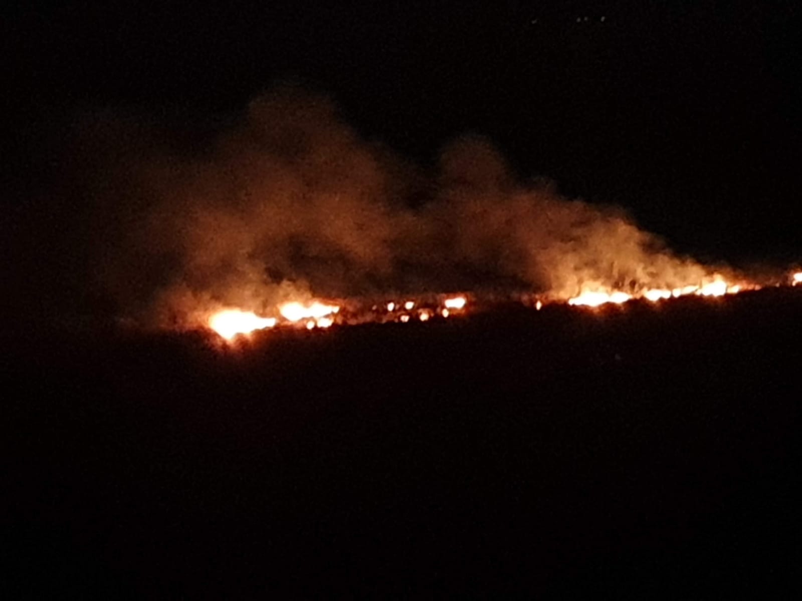 Incendiu de proporții între Gârliciu și Ciobanu, în zona Lacului Hazarlâc
