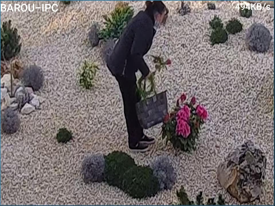 Avocatul Cătălin Filișan, decanul Baroului Constanța: „Ne-a fost furată cea mai frumoasă floare din gradină!“