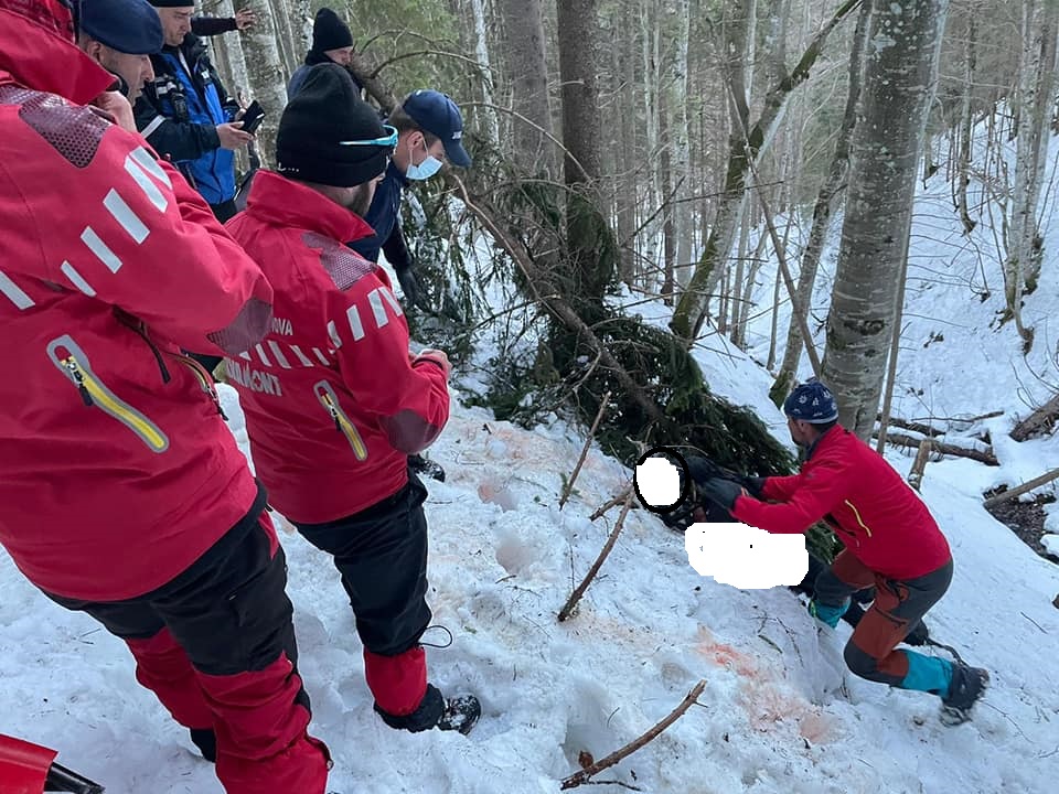 Bărbat de 39 de ani sfâșiat de urs în timp ce era la jogging