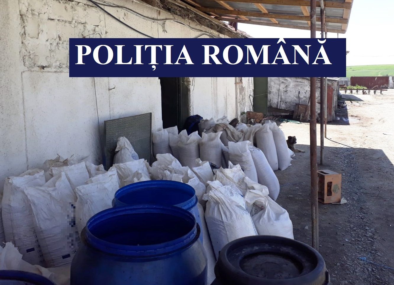 Aproape 6 tone de azot, cereale și motorină, descoperite la Satu Nou, în urma a 3 percheziții