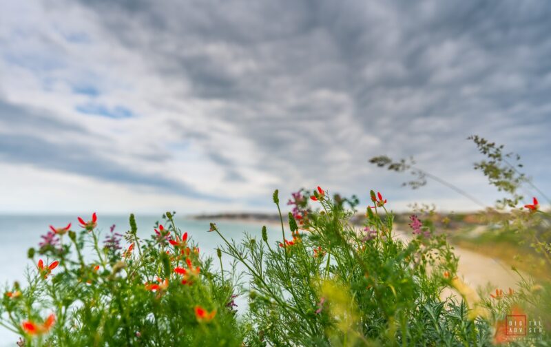 În Dobrogea temperaturile vor fi în creștere în următoarele două săptămâni