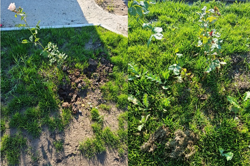 Ce se mai fură în comunele din județul Constanța