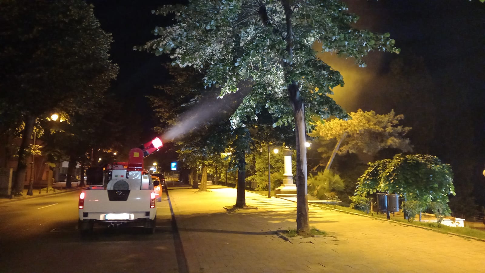 Primăria Constanța intensifică acțiunile de dezinsecție. Unde se acționează în această seară
