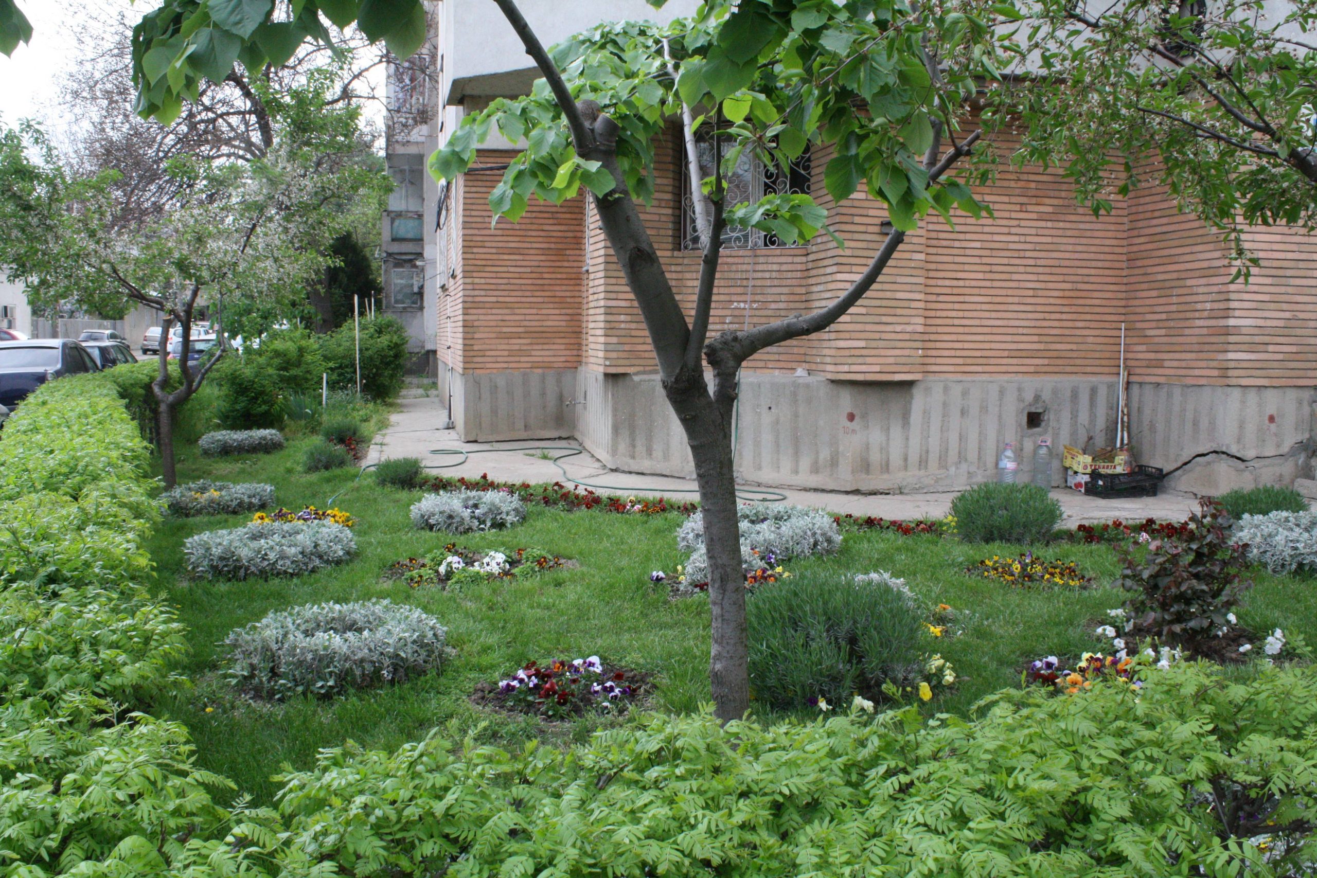 Asociațiile de proprietari din Constanța au, în continuare, obligația îngrijirii spațiilor verzi din jurul blocurilor