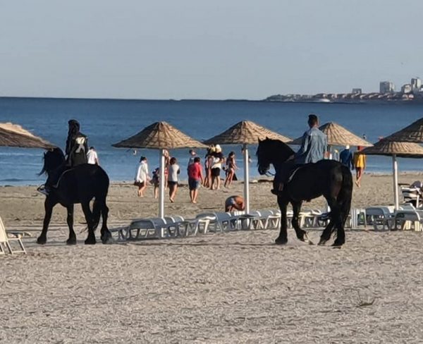 Doi bărbați călare pe cai, s-au plimbat nestingheriți, printre turiști, pe plaja din Mamaia Nord