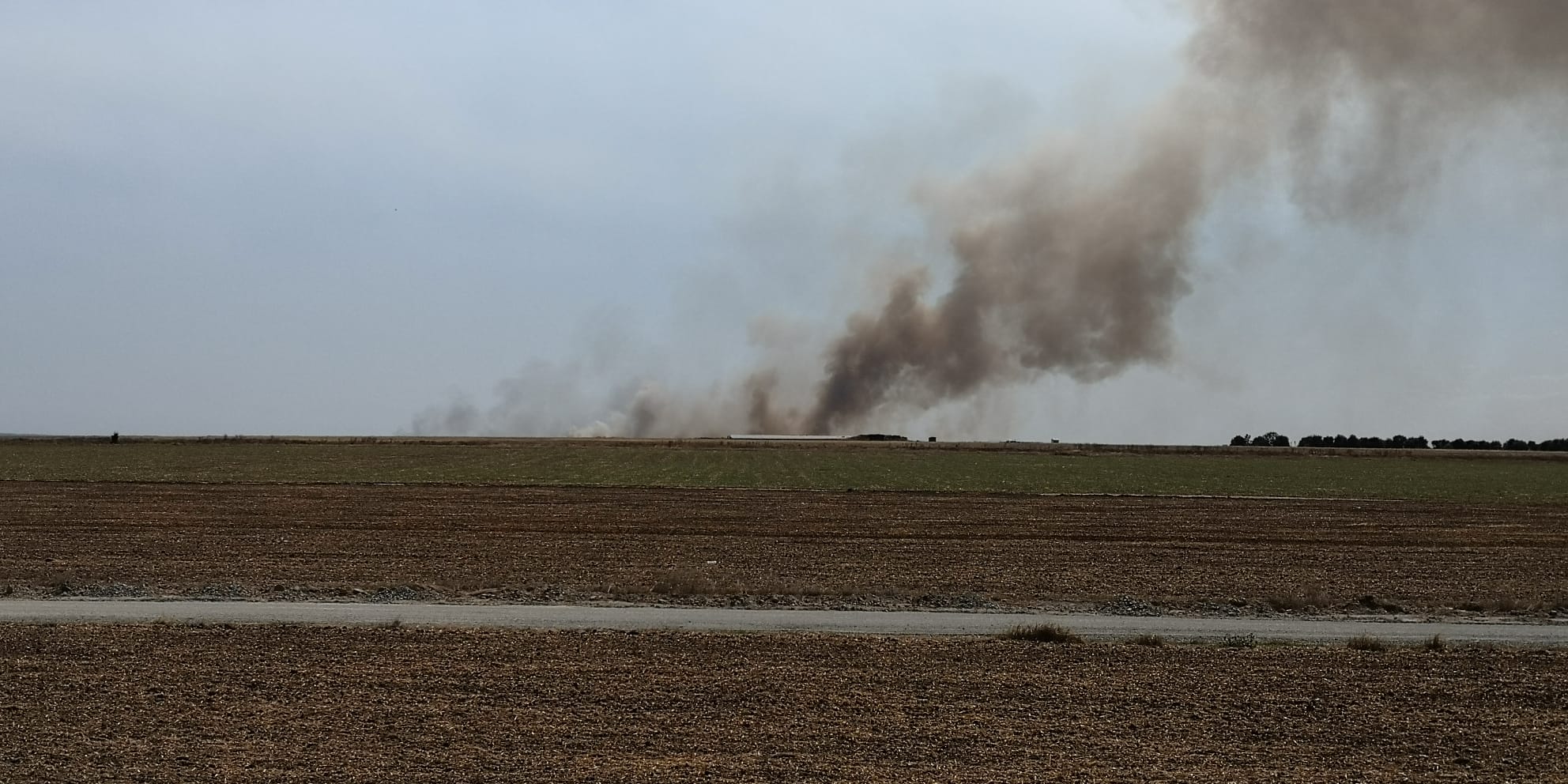 Incendiu de vegetație izbucnit la Capu Midia în urma tragerilor antiaeriene