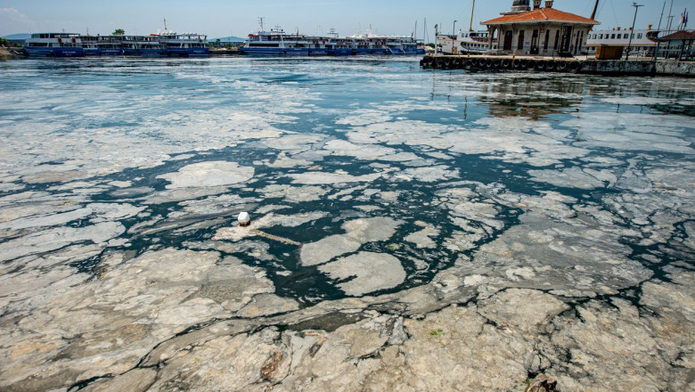 „Mucilagiul marin” riscă să ajungă în Marea Neagră