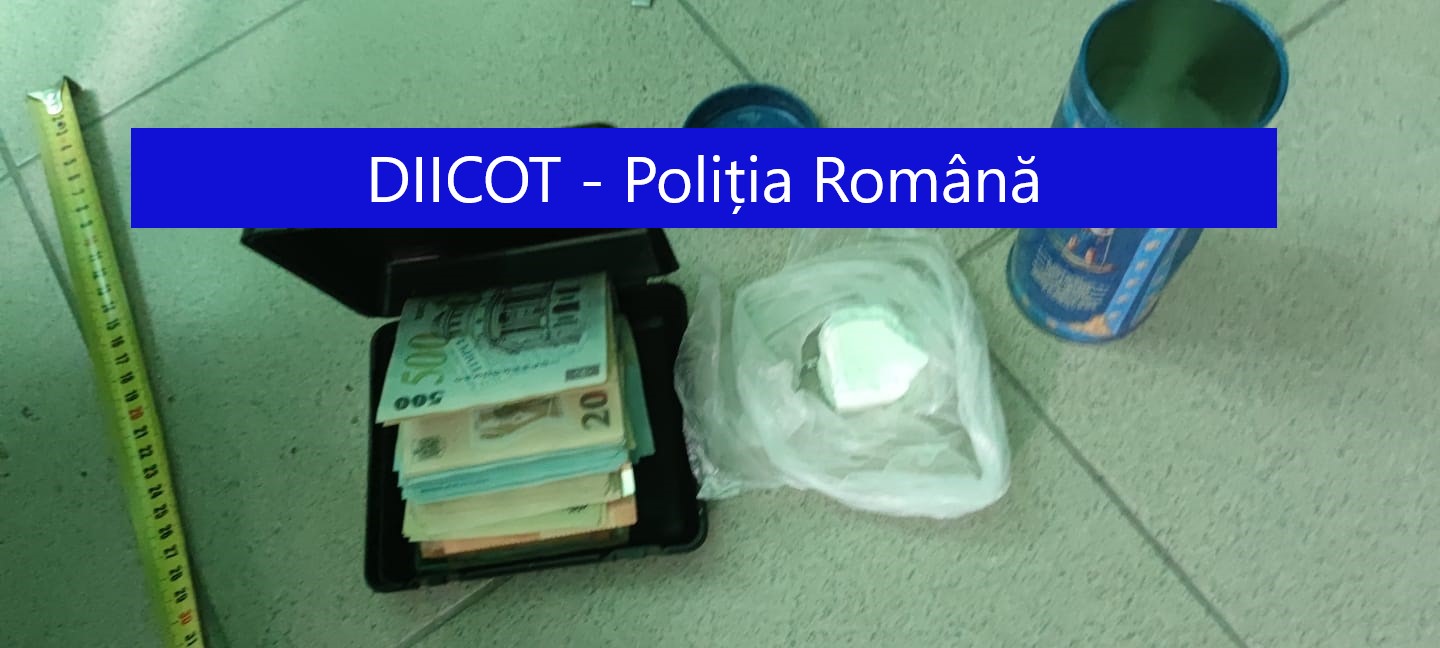 Cultură de CANNABIS, BANI și COCAINĂ descoperite în urma unor percheziții în județul Constanța