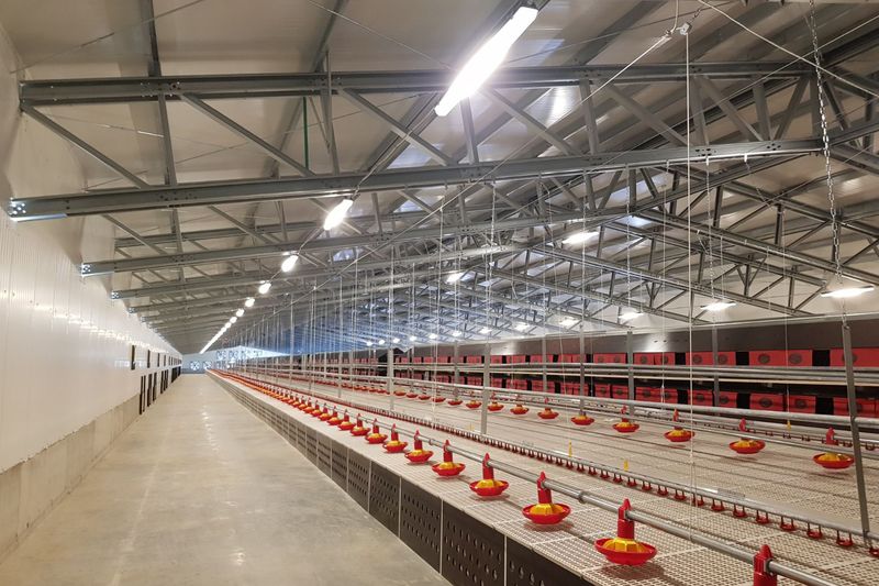 O hală nouă de păsări, cu linie de tăiere și magazin desfacere se va construi în Mihail Kogălniceanu