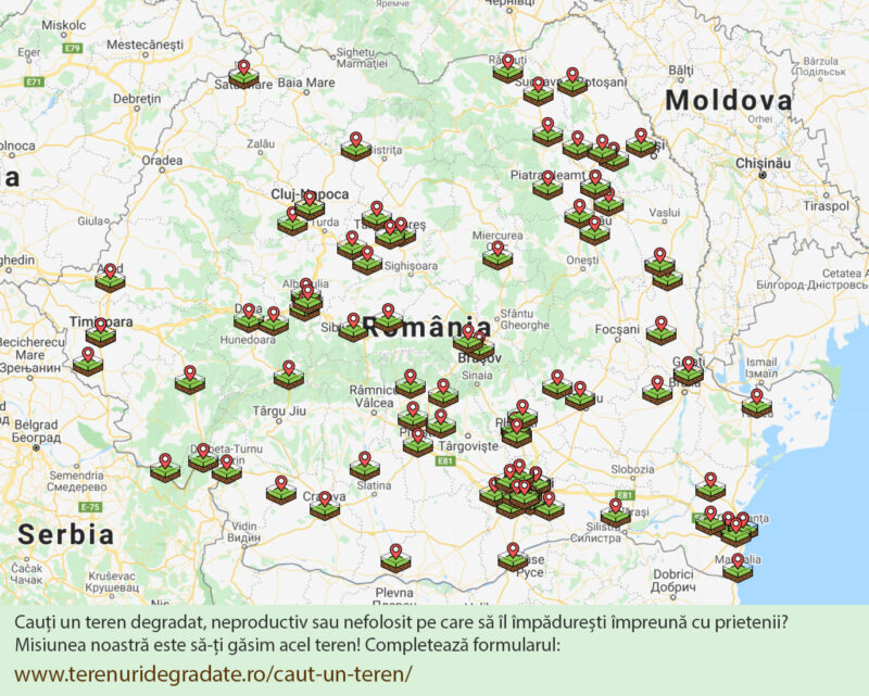Cauți un teren pe care să îl împădurești? Alătură-te campaniei „Adoptă” un teren degradat sau nefolosit