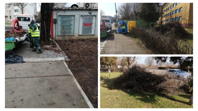 Angajații Polaris continuă acțiunile de igienizare a spațiilor verzi din municipiul Constanța