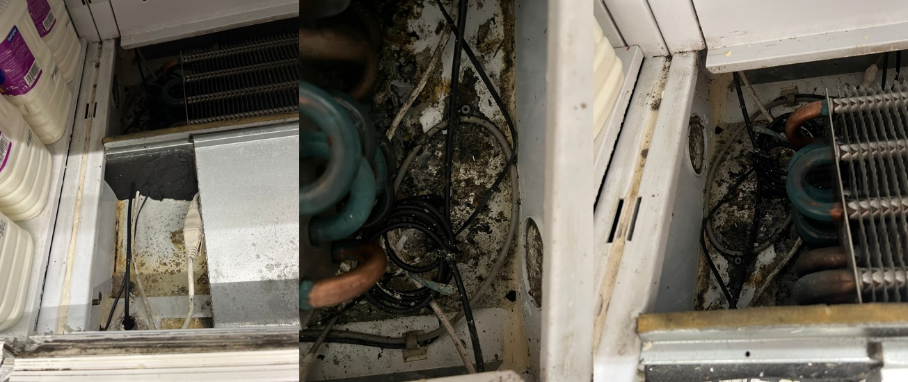 (Foto) Mizerie de nedescris în vitrinele din zona lactate de la Cora Brătianu. Pește necorespunzător expus, retras de la vânzare