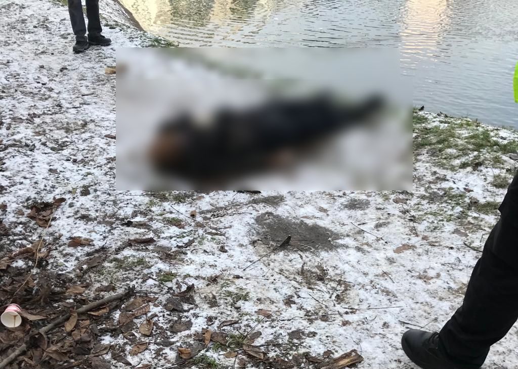 CADAVRUL unui bărbat găsit sub podul rutier din Năvodari