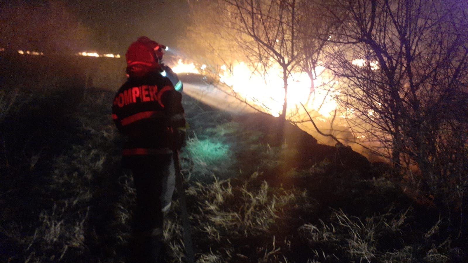 Intervenție dificilă a pompierilor pentru a stinge un incendiu de vegetație în Delta Dunării