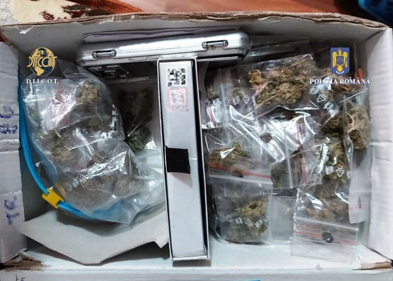 Bărbat din Constanța, reținut pentru TRAFIC DE DROGURI. La PERCHEZIȚII s-a găsit cannabis
