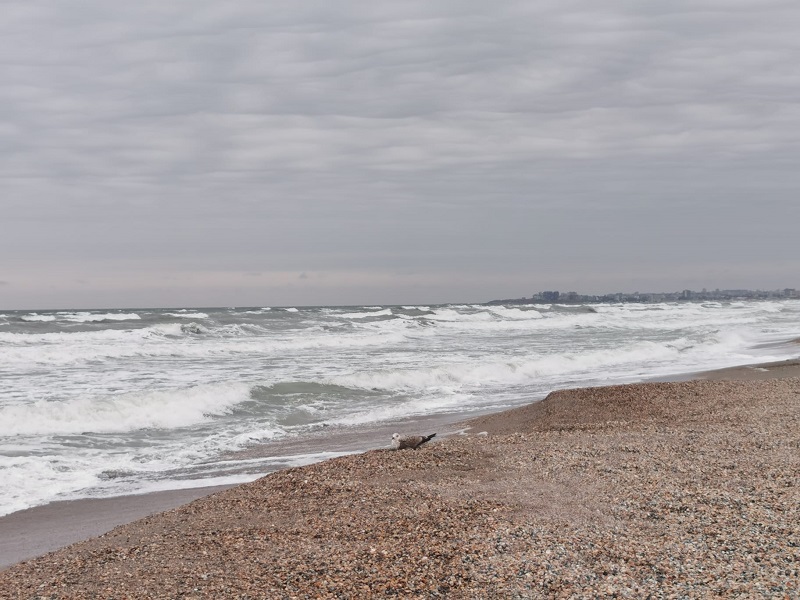 Se răcește vremea în Dobrogea, în următoarele două săptămâni. Ce temperaturi se vor înregistra