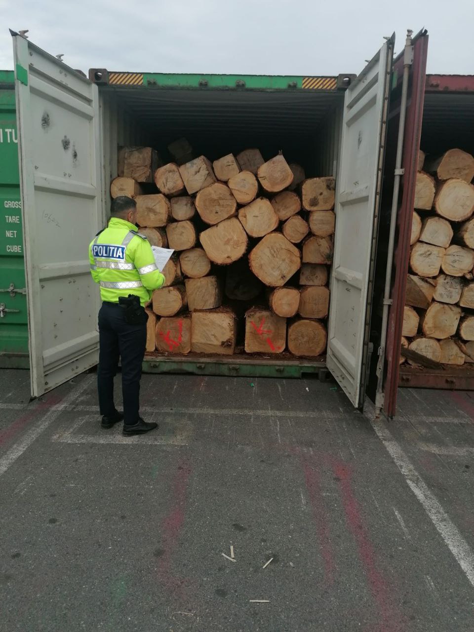(FOTO) Șapte containere cu lemn de stejar, în valoare de aproximativ 100.000 de euro, confiscate de polițiștii constănțeni