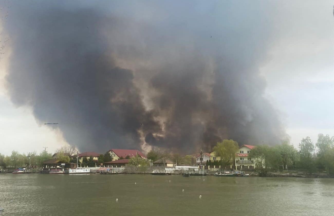 (VIDEO) Incendiu puternic de vegetație uscată și stuf aproape de Crișan