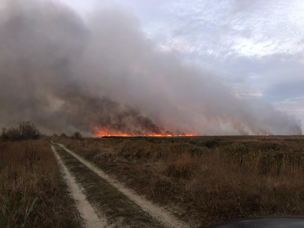 Pedeapsă cu ÎNCHISOAREA pentru cei care INCENDIAZĂ și ÎNGROAPĂ deșeurile. Au crescut amenzile pentru arderea miriștilor