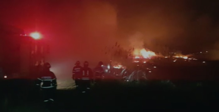 Ard hectare întregi de stuf în zona unei gări din județul Tulcea