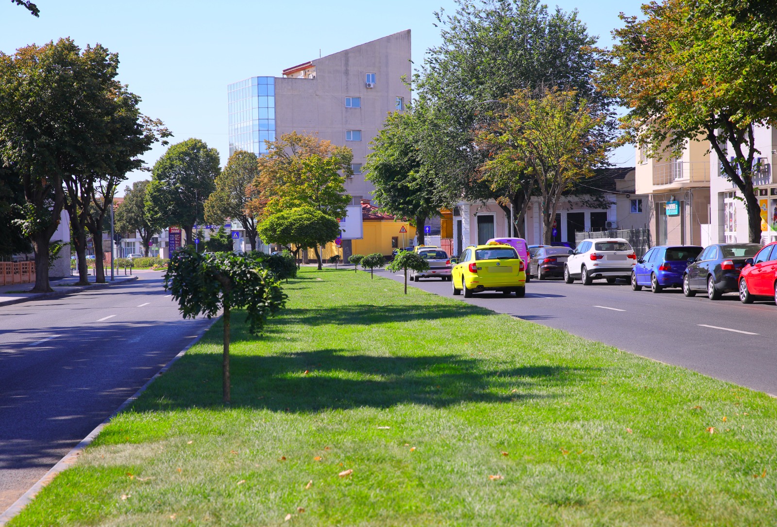Societatea municipalității caută muncitori pentru Serviciul de spații verzi